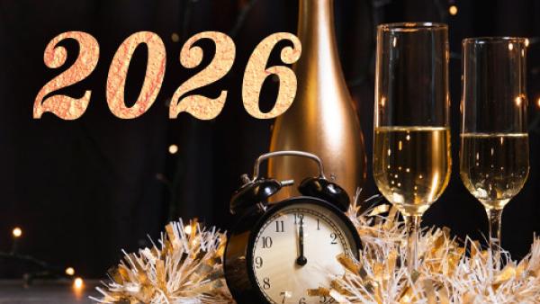 НОВА ГОДИНА 2026 В СЪРБИЯ - FAMILY HOTEL PEGAZ HOLIDAYS RESORT