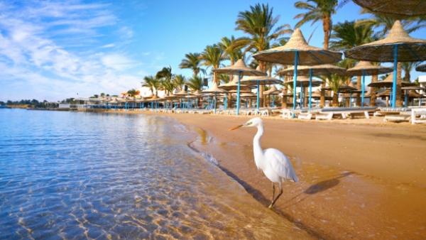 ПОЧИВКА В ЕГИПЕТ